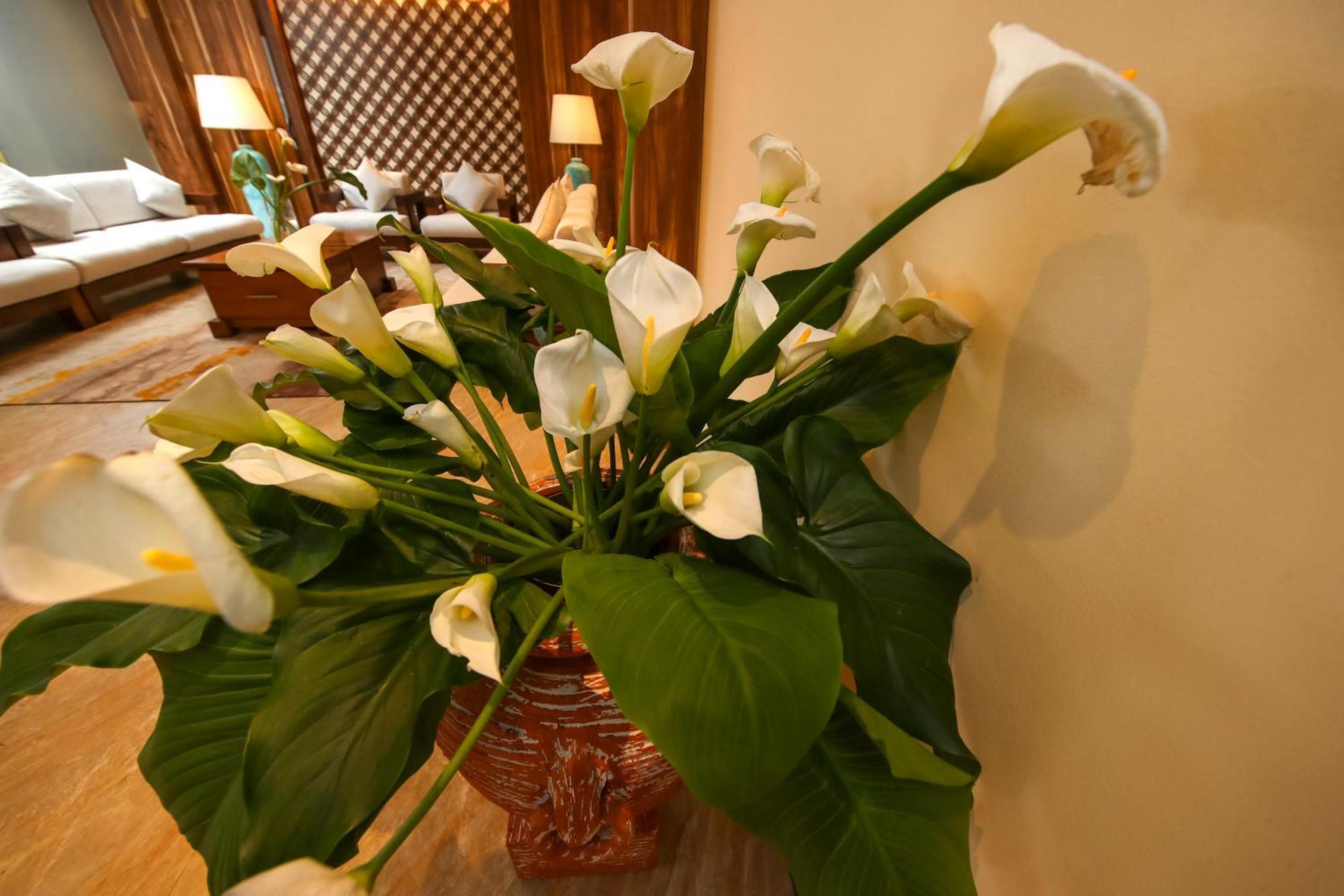 Hotel Serene Kandy